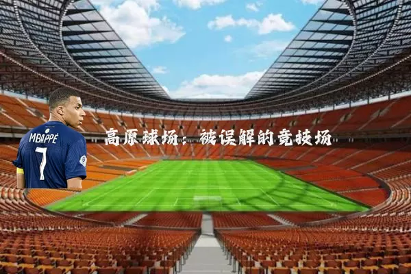 高原球场：被误解的竞技场